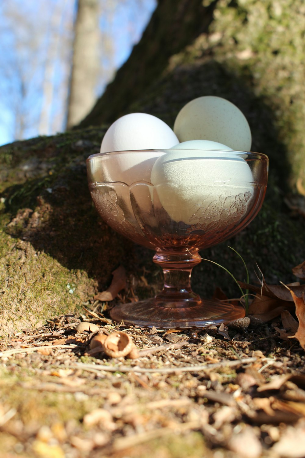 three eggs are in a glass bowl on the ground