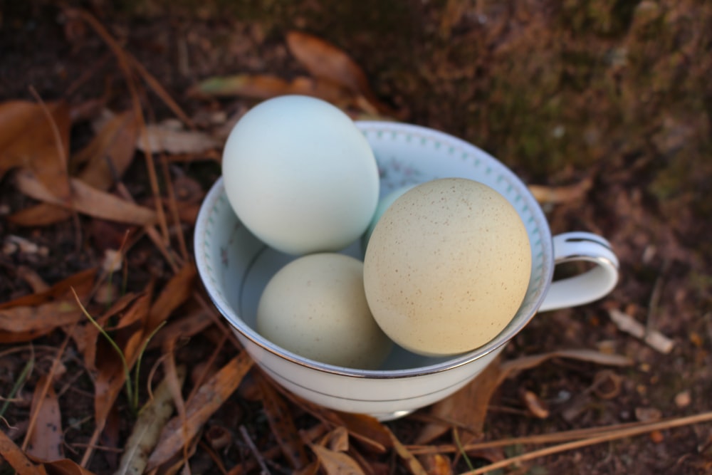 three eggs in a white bowl on the ground