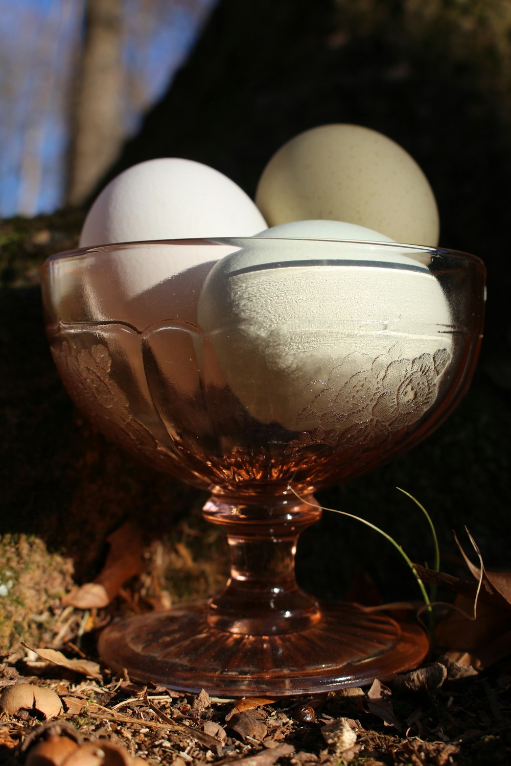 three eggs are in a glass bowl on the ground