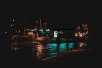 A dimly lit urban street with wet cobblestones reflecting neon lights.