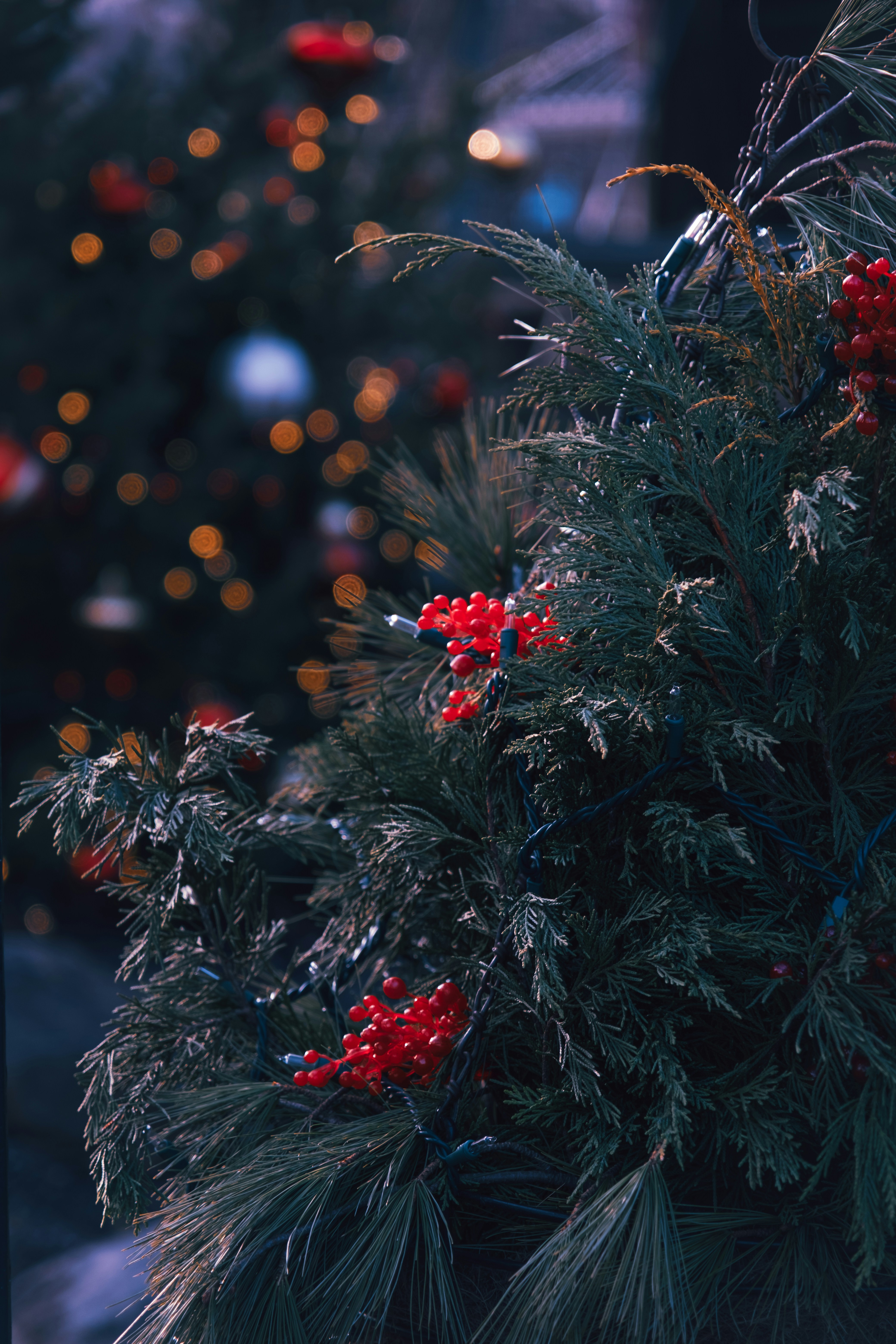 Photo by nellie_adamyan