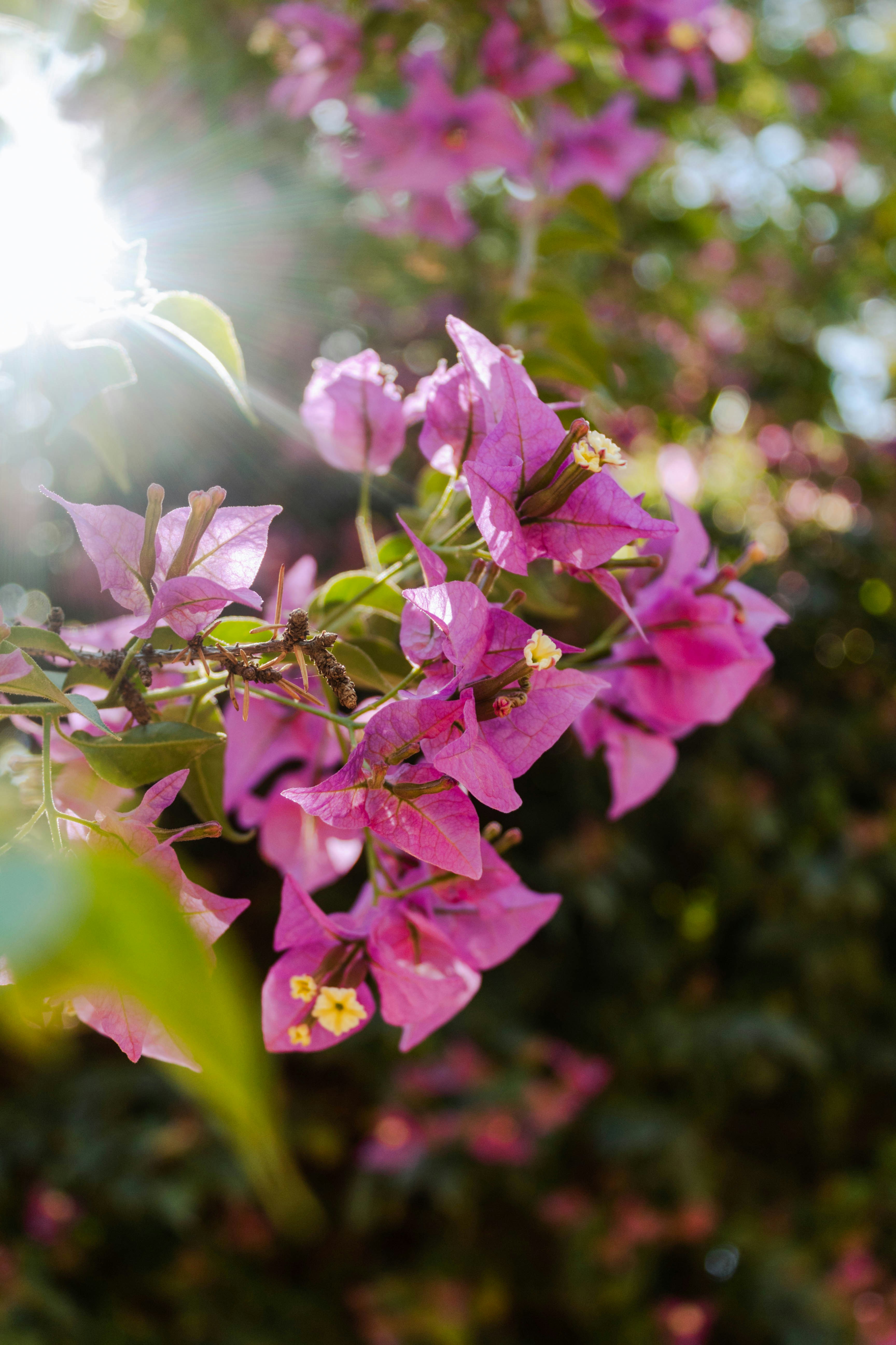 Photo by kellymccrimmon