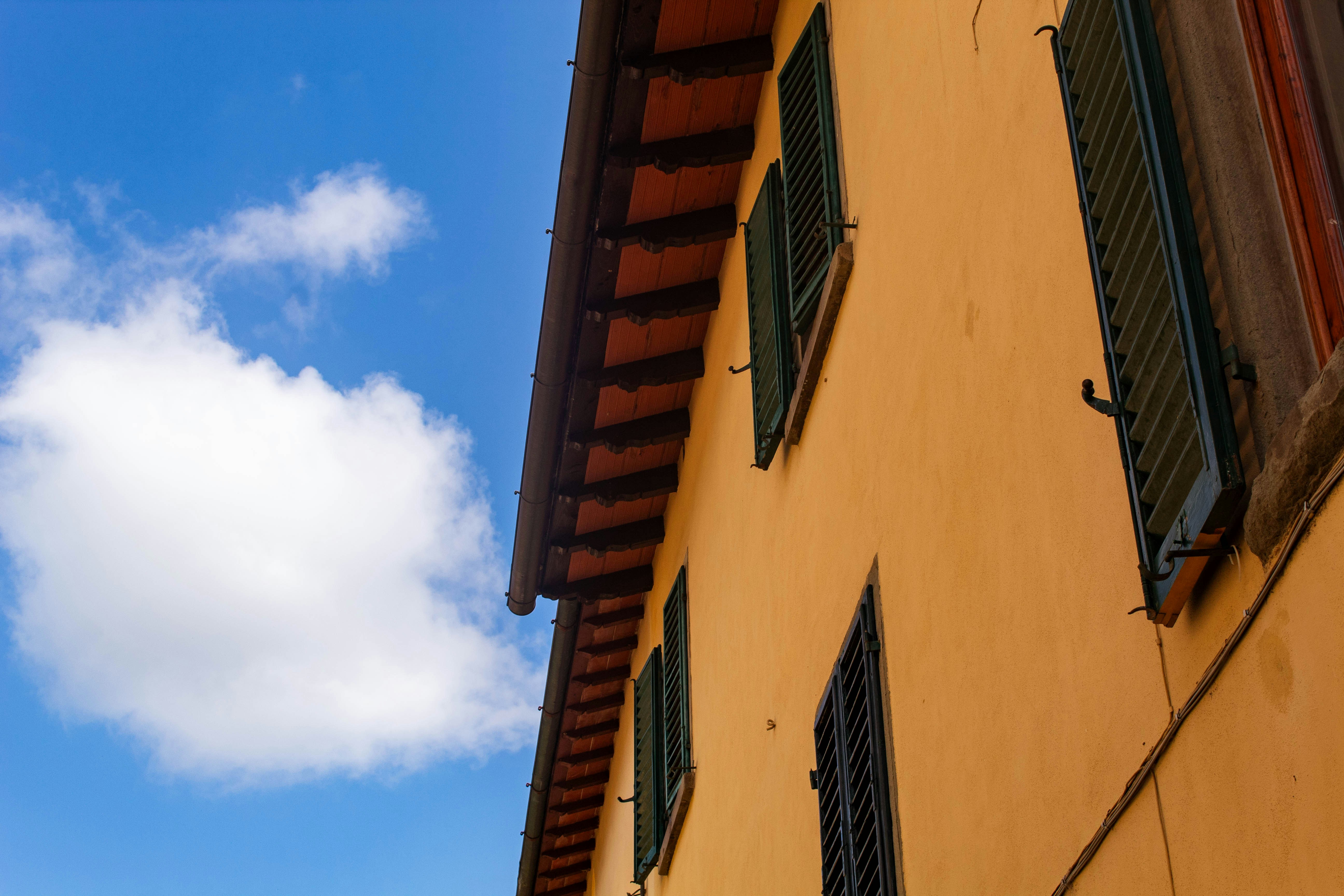 Photo by kellymccrimmon