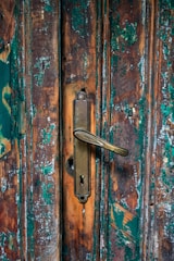 Close-up of a skilled craftsman gently stripping paint from an ornate antique wooden door.