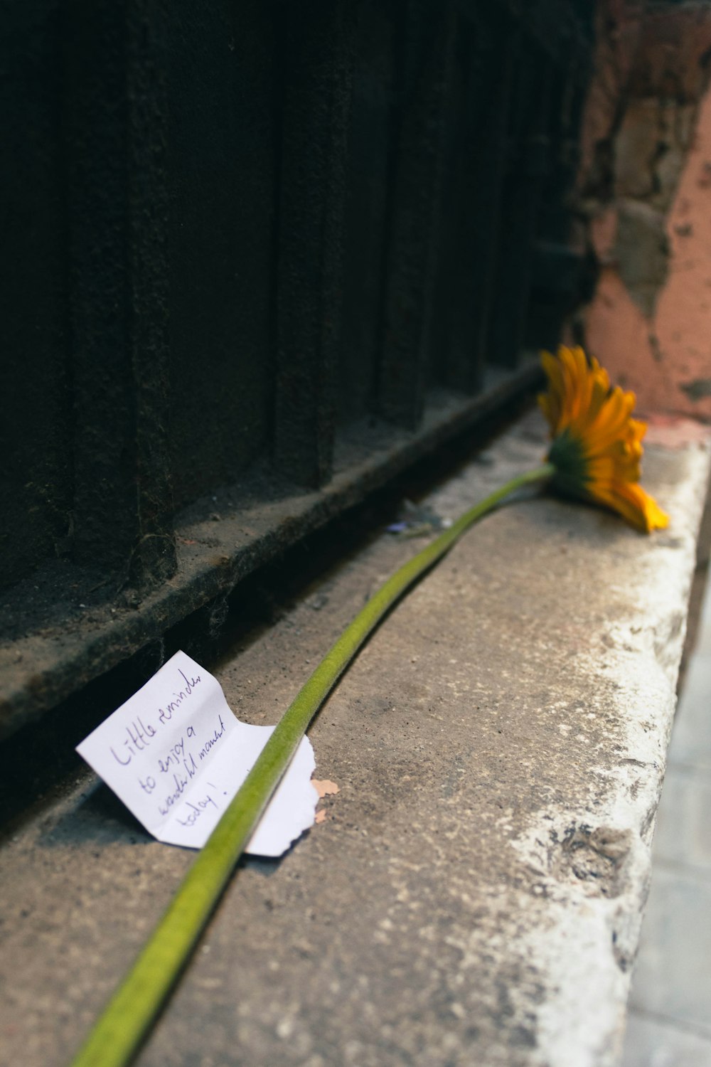 a note left on the ground next to a flower