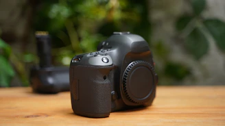 Close-up of a DSLR camera resting on a wooden table with Tadoba forest blurred in the background.