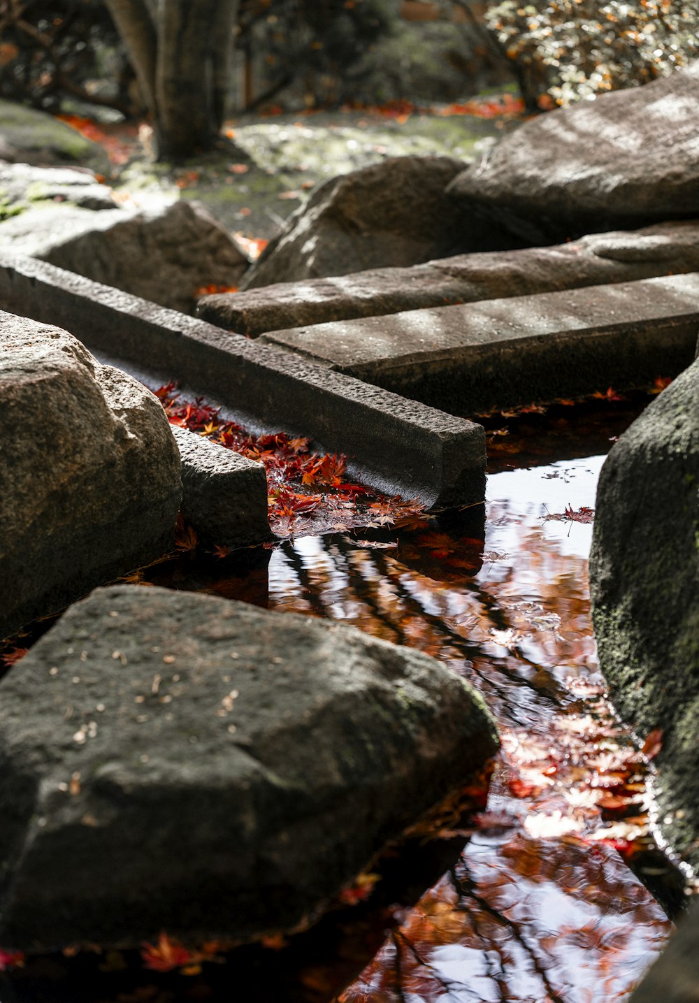 a wooden bench sitting on top of a river next to rocks