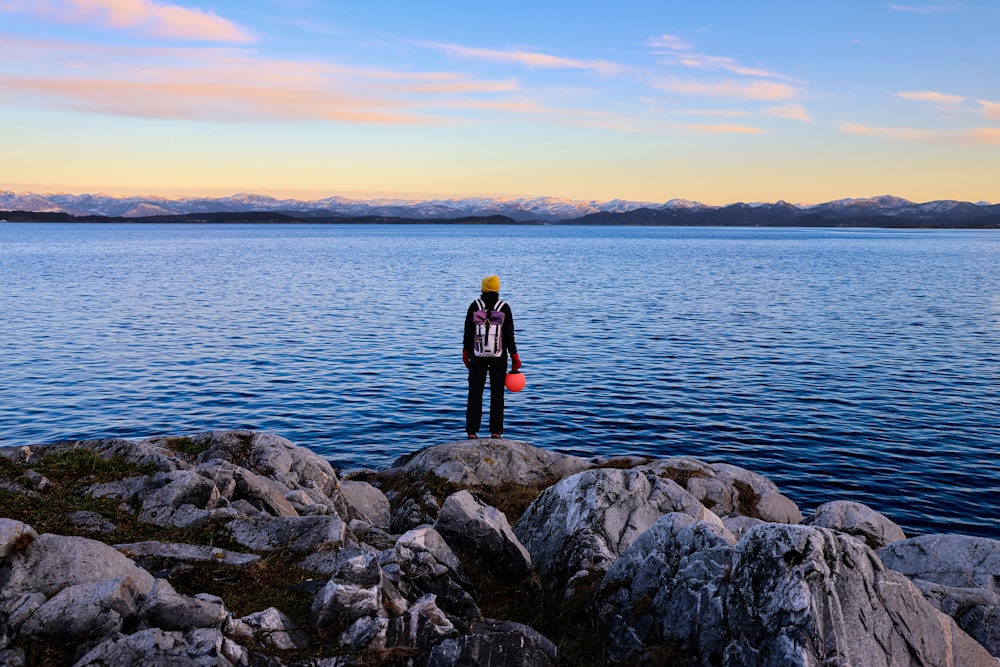 a person standing on a rocky shore next to a body of water