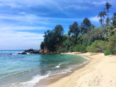 A tranquil beach scene at Charco Verde with clear turquoise waters and palm trees.