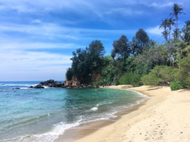 A tranquil beach scene with golden sand leading to clear, turquoise waters. Dense green foliage lines the shore, culminating in a cluster of tall palms and trees. The sky is bright blue with scattered clouds, and gentle waves lap against the beach.