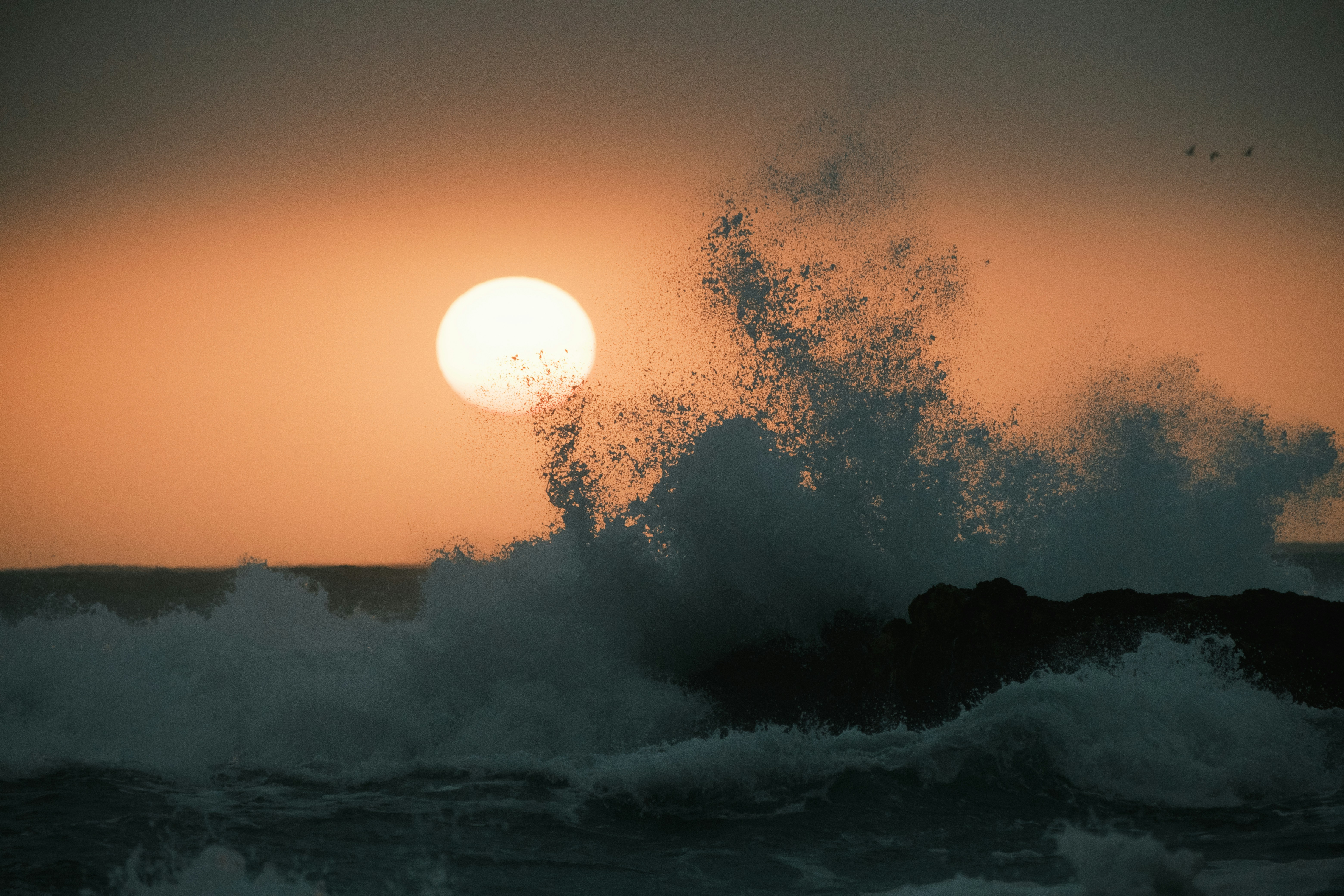 Photo by alexkurchev