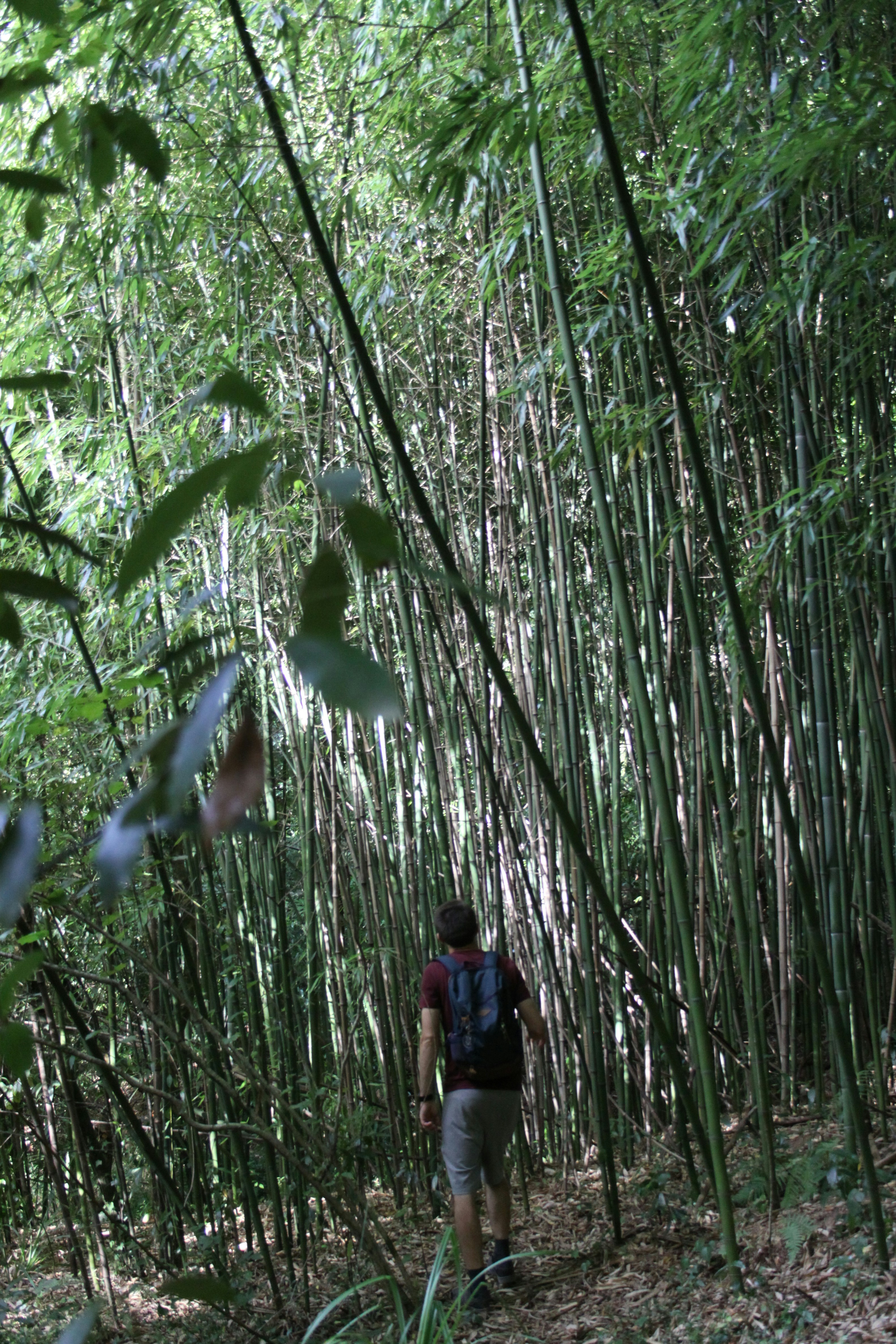 The Ultimate Southeast Asia Backpacking Route: 3 Months of Adventure