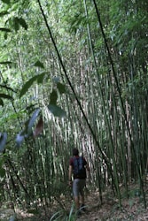 Reflections on 5 Weeks of Backpacking Through Asia with My Son