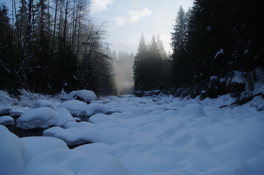 a snow covered road surrounded by trees and snow