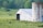 A rural landscape featuring a white barn with a metal roof and a large concrete silo. Several black cows are grazing in a lush green field, bordered by trees in the background. The scene is peaceful and pastoral, with a wooden fence running across the foreground.