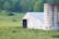 A rural landscape featuring a white barn with a metal roof and a large concrete silo. Several black cows are grazing in a lush green field, bordered by trees in the background. The scene is peaceful and pastoral, with a wooden fence running across the foreground.