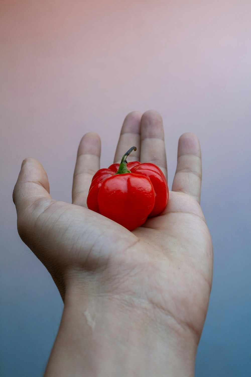 a person holding a red pepper in their hand