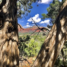 A beautiful outdoor scene showcasing nature's beauty.