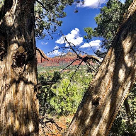 A beautiful outdoor scene showcasing nature's beauty.