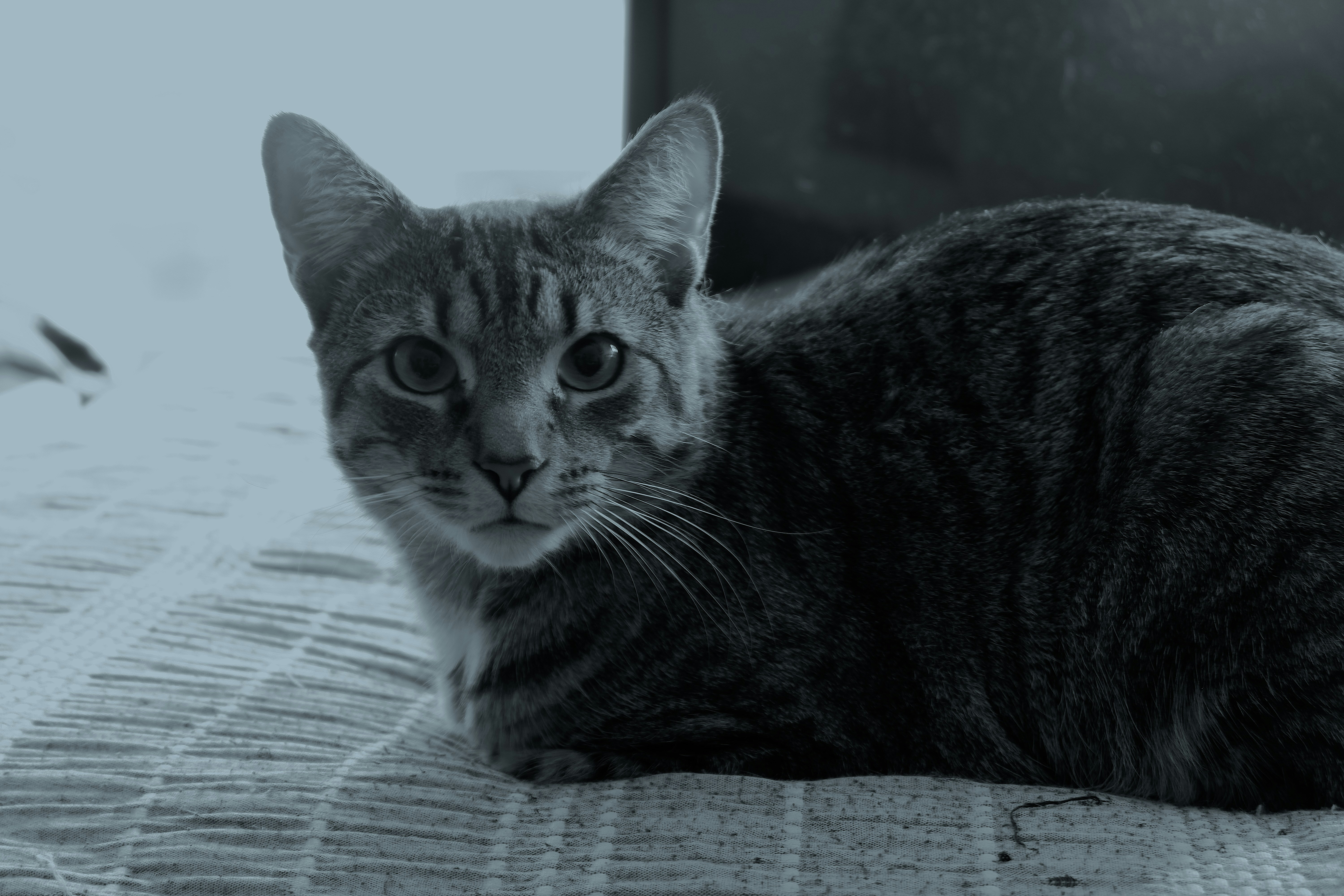 Photo by beatricesalazar