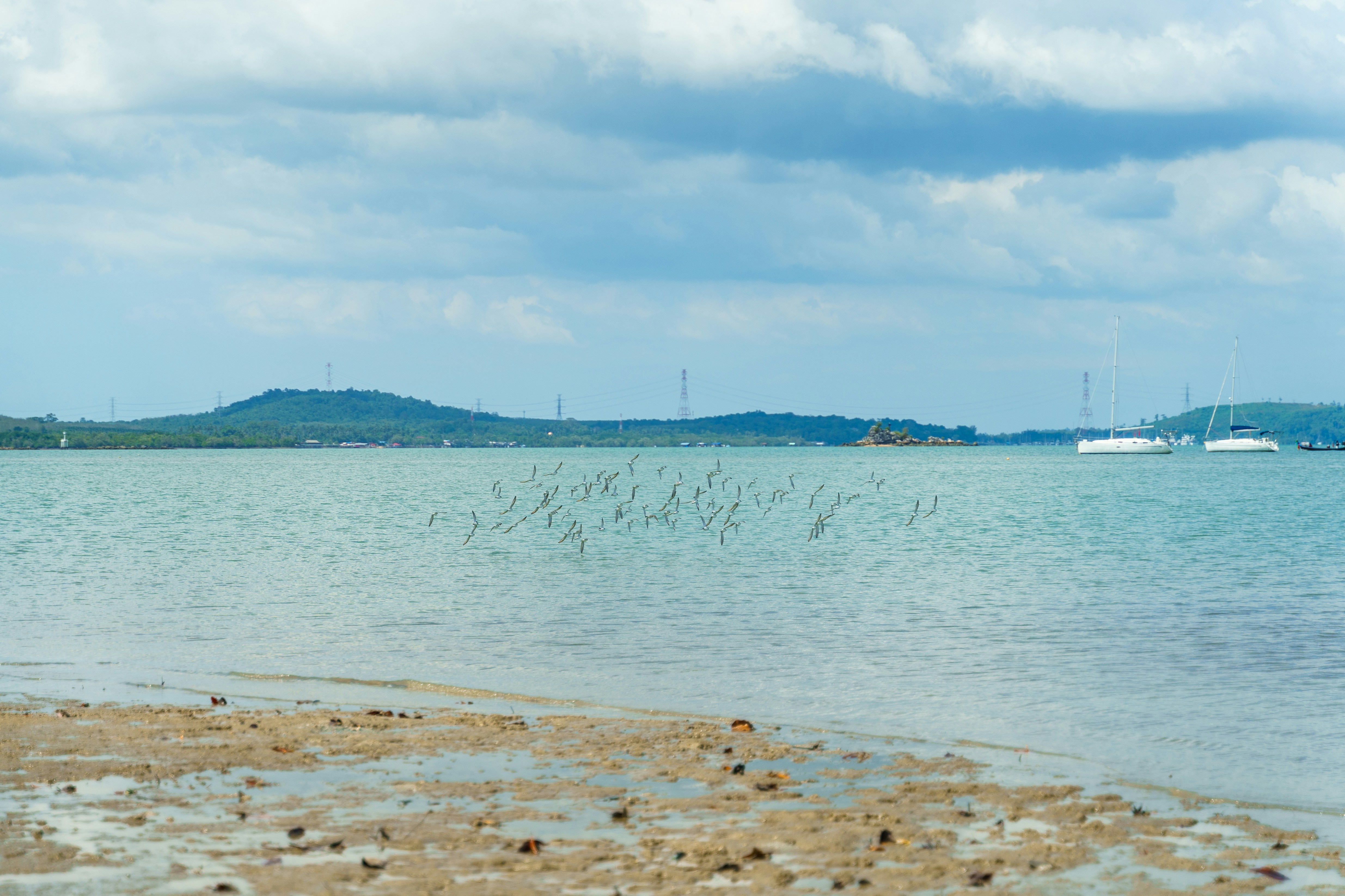 Photo by setsj