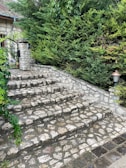 A luxury residential entrance with freshly polished stone steps and vibrant greenery.