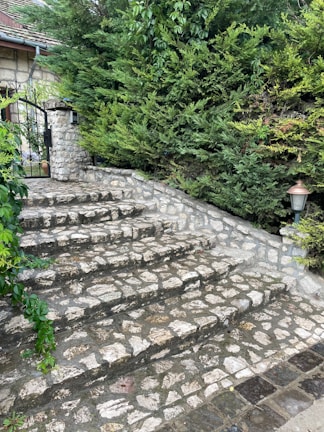 A luxury residential entrance with freshly polished stone steps and vibrant greenery.