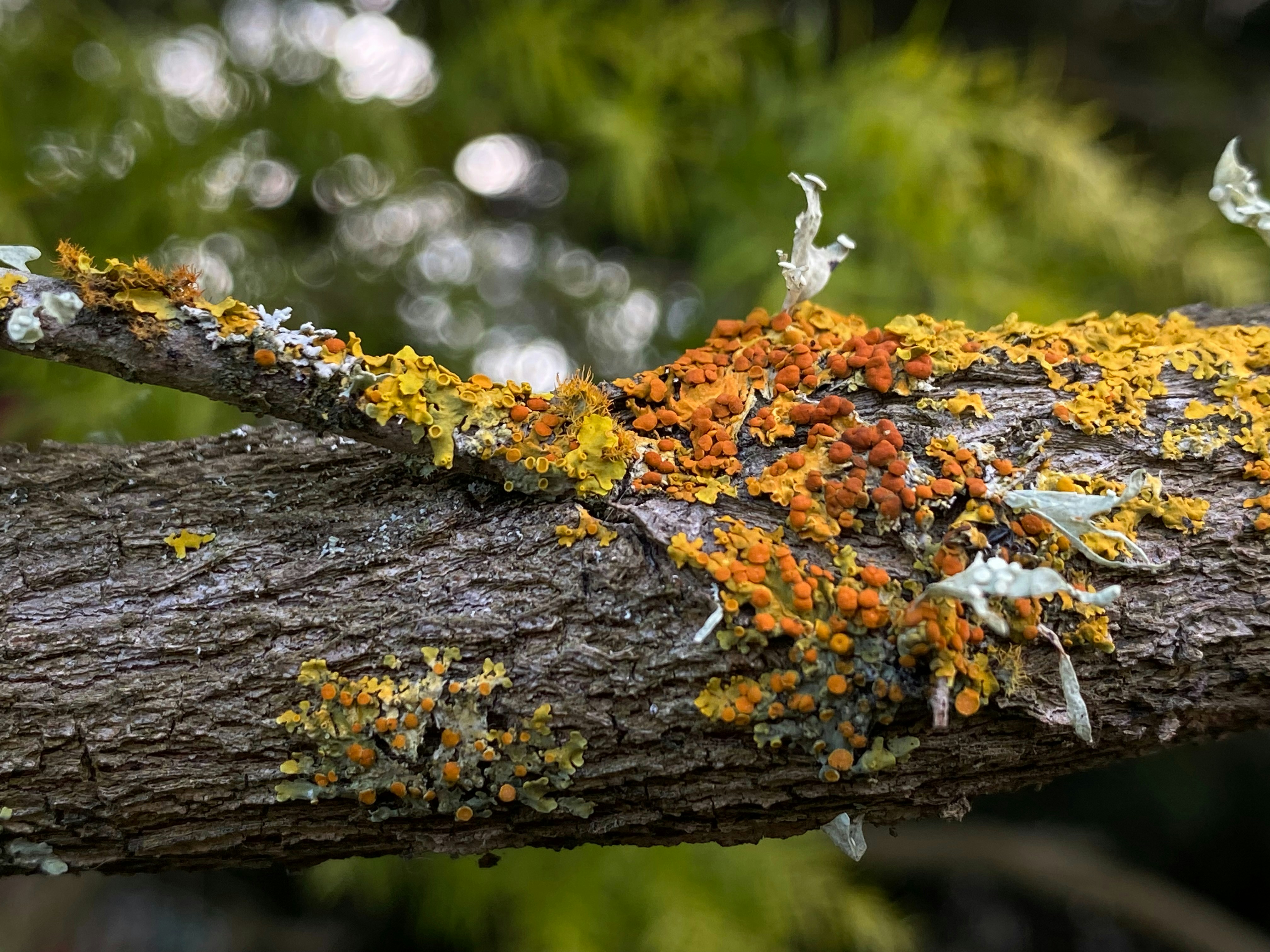 Photo by jtgreenwell00