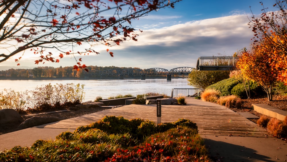 a wooden walkway next to a body of water