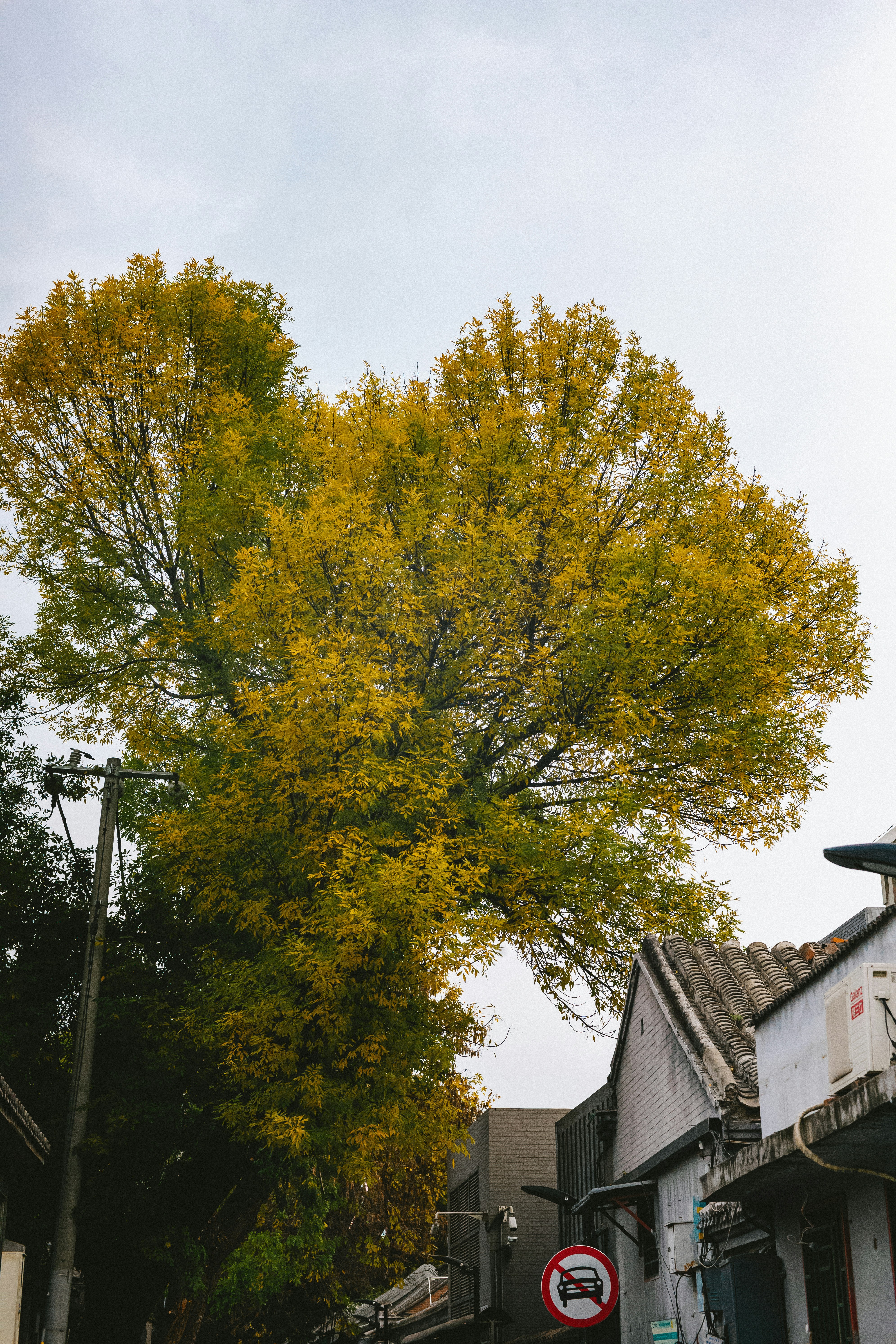 Photo by tommaomaoer