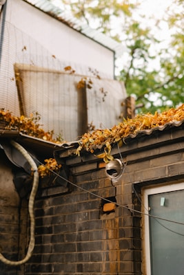 An exterior view of a brick building with a window and a security camera mounted on the wall. The roof is covered with a layer of orange and yellow autumn leaves, and there are some wires and pipes attached to the building. The background shows trees with green foliage.
