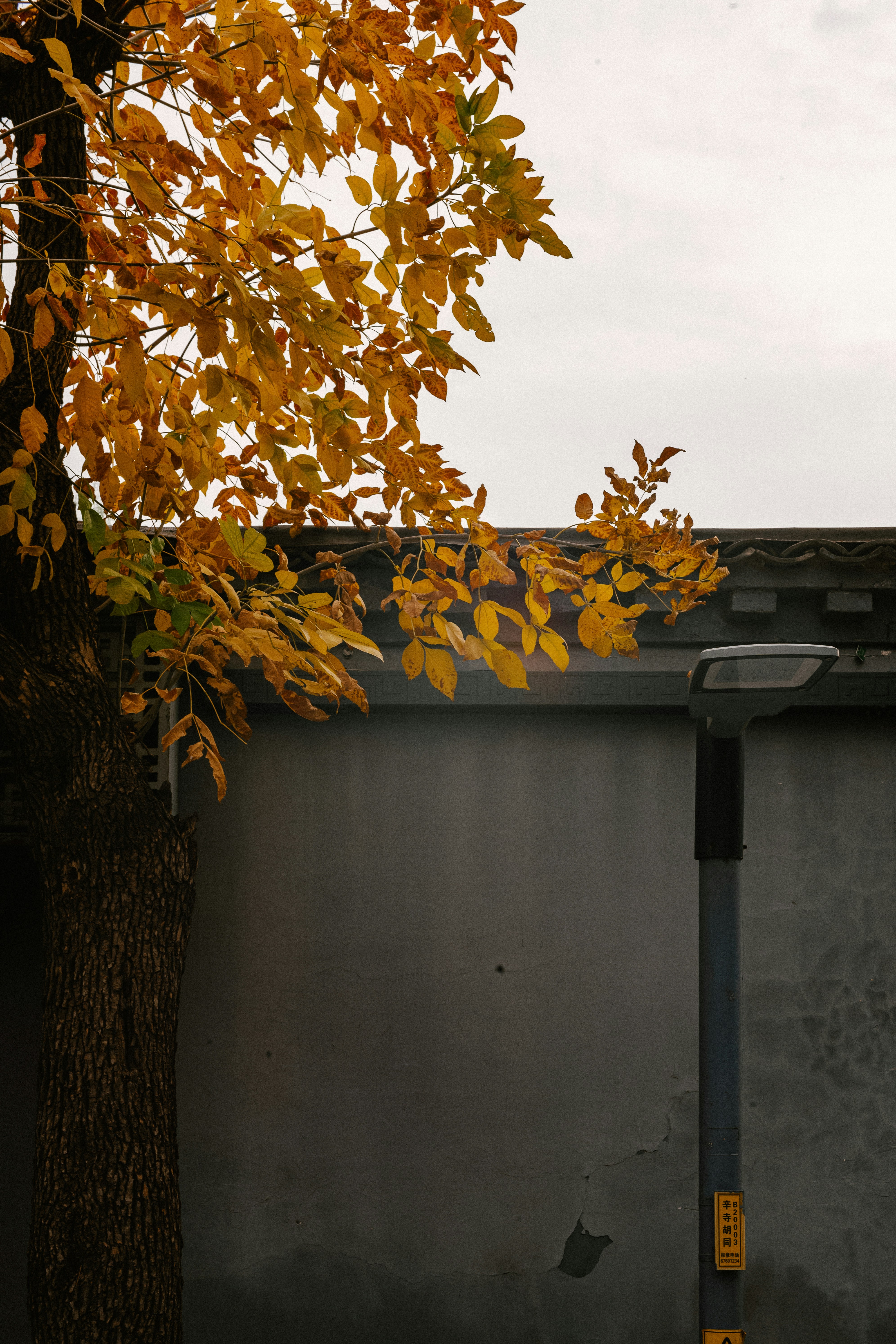 Photo by tommaomaoer