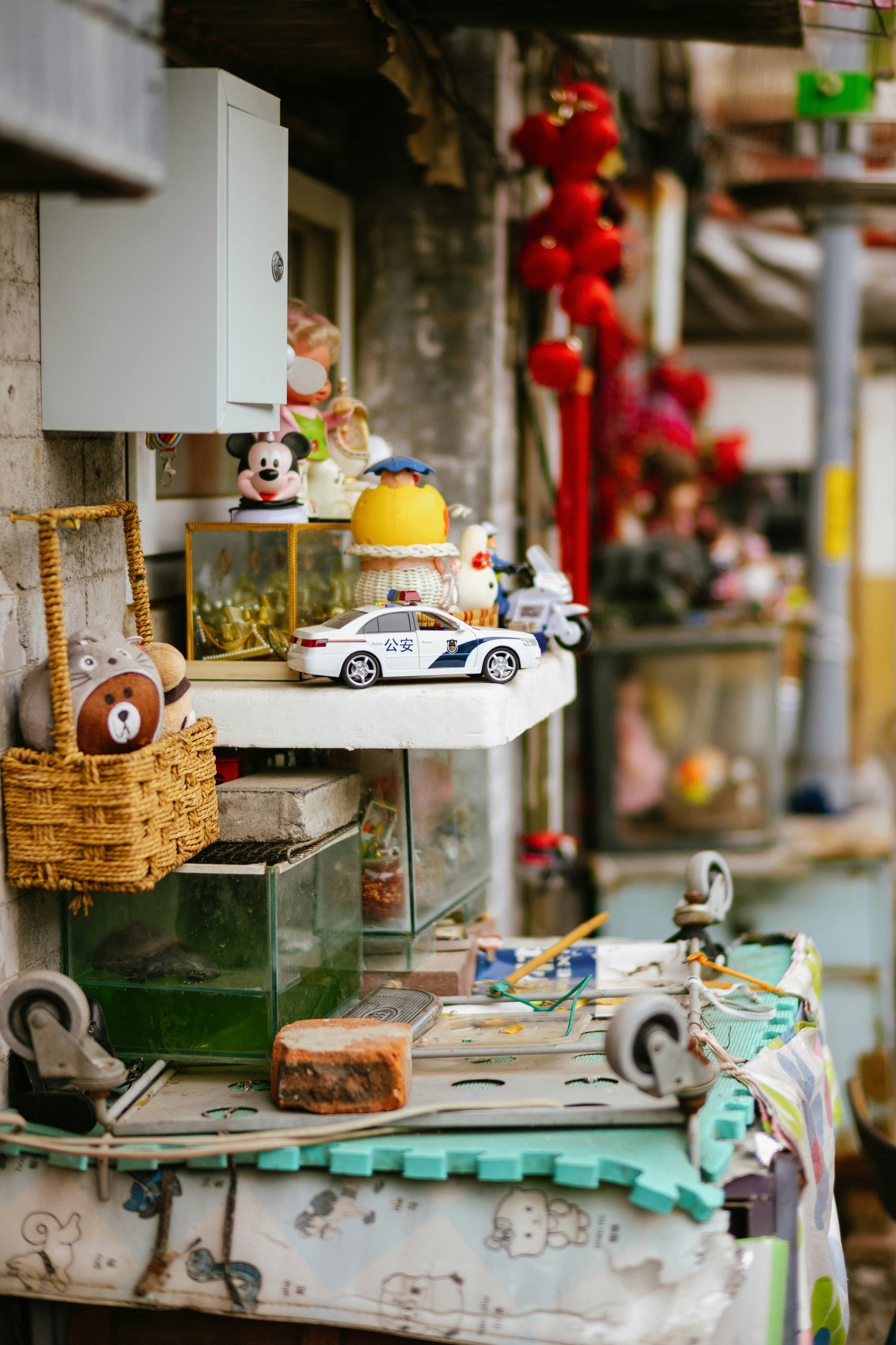 Photo by tommaomaoer