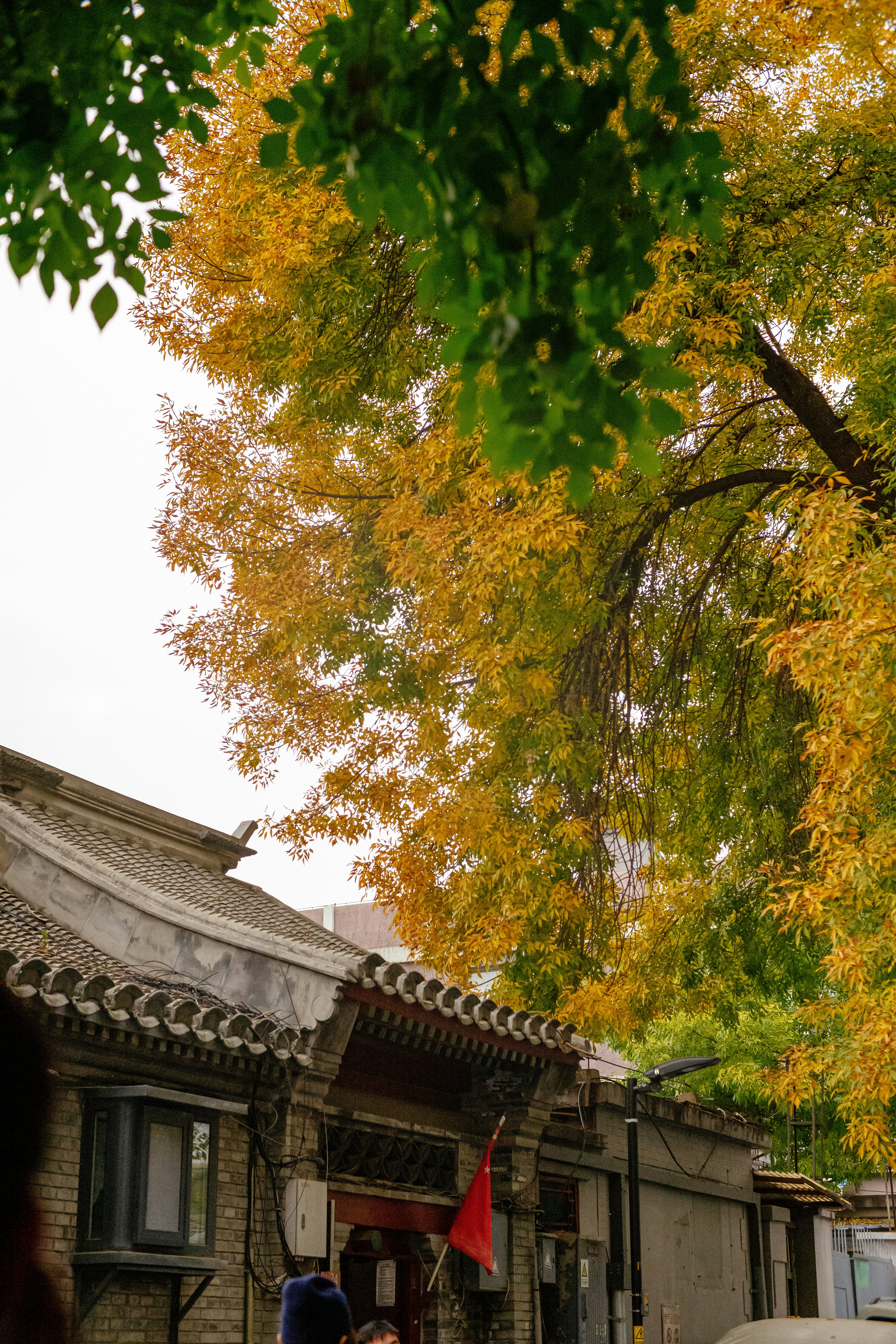 Photo by tommaomaoer