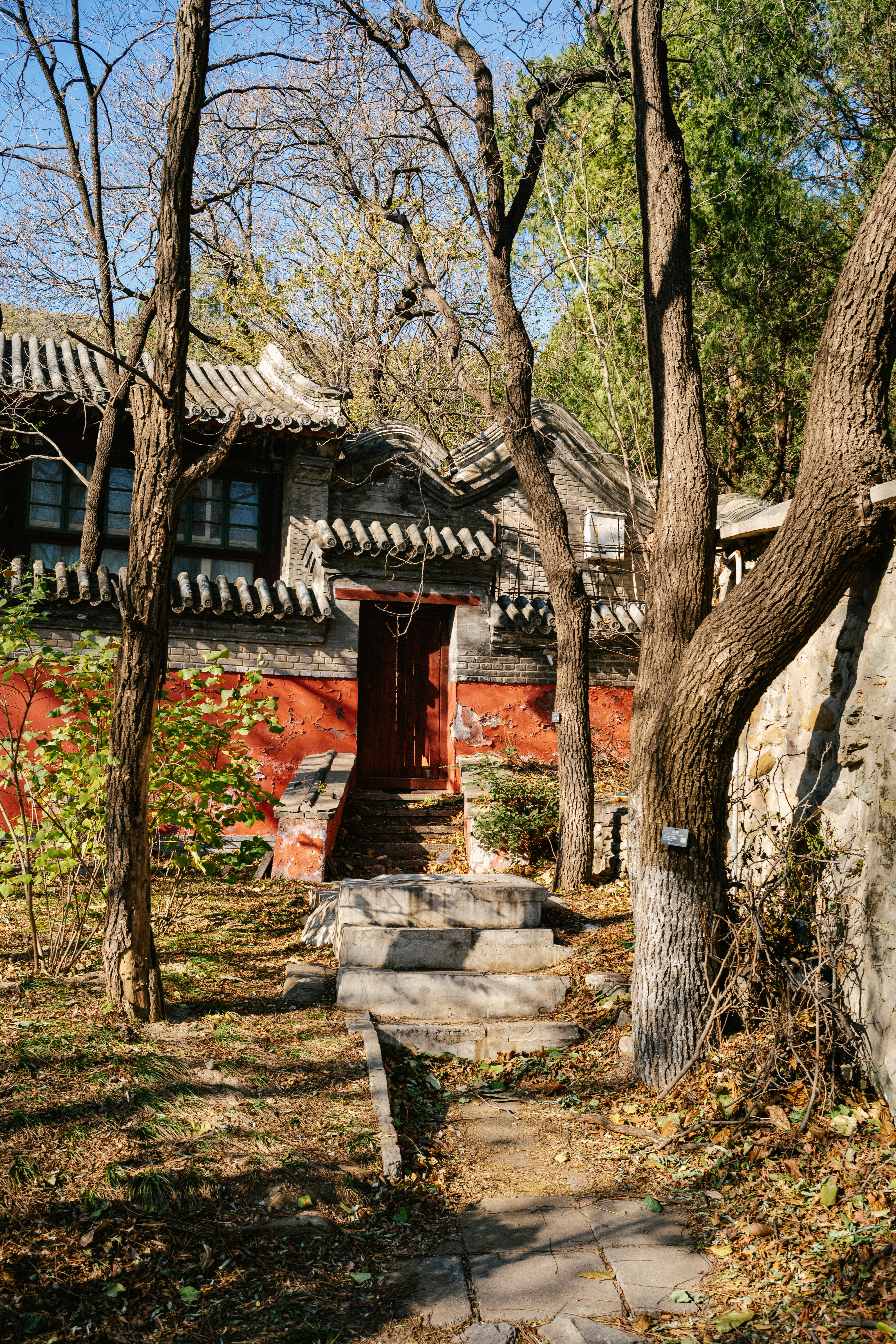 Photo by tommaomaoer