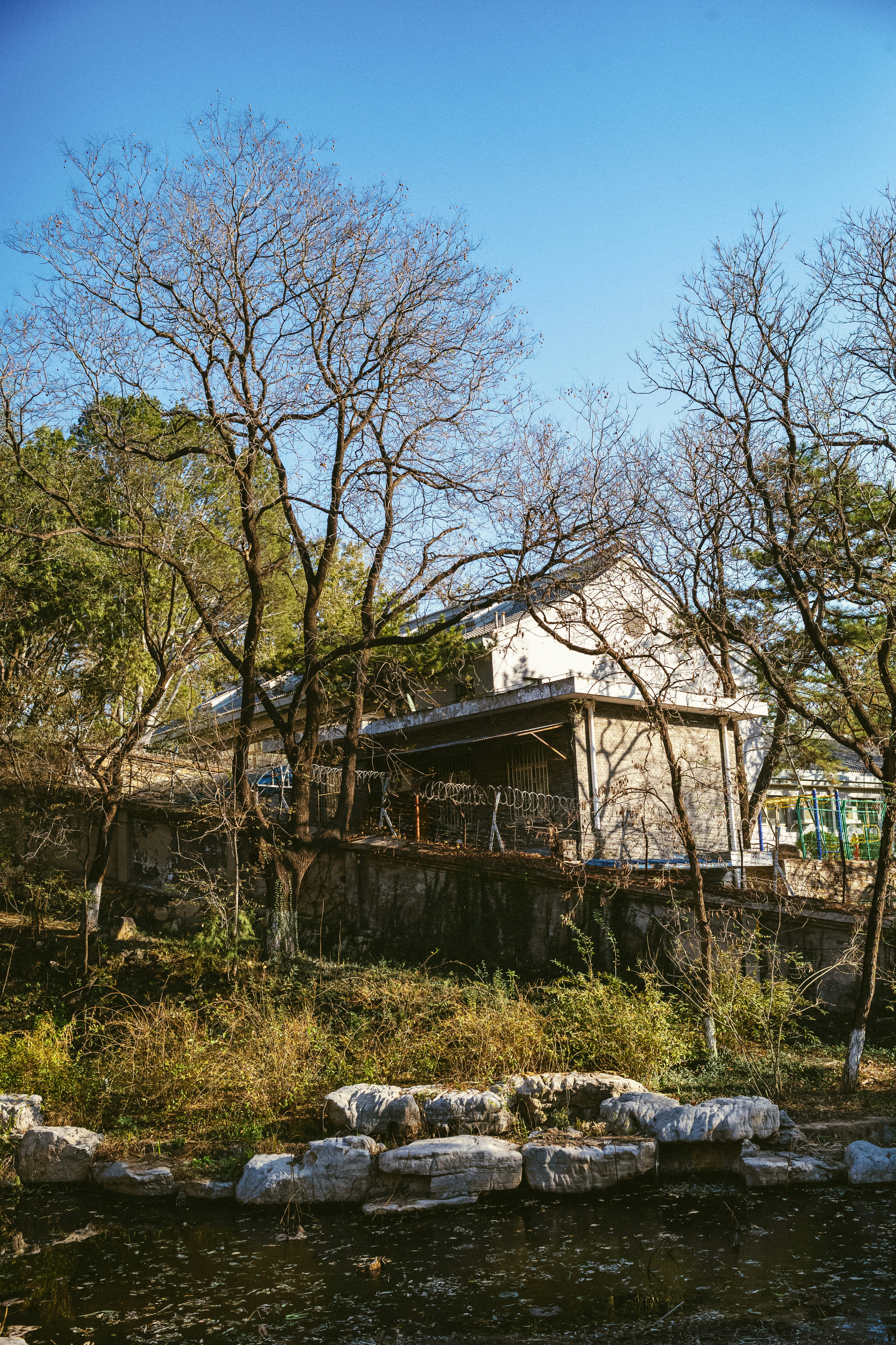 Photo by tommaomaoer