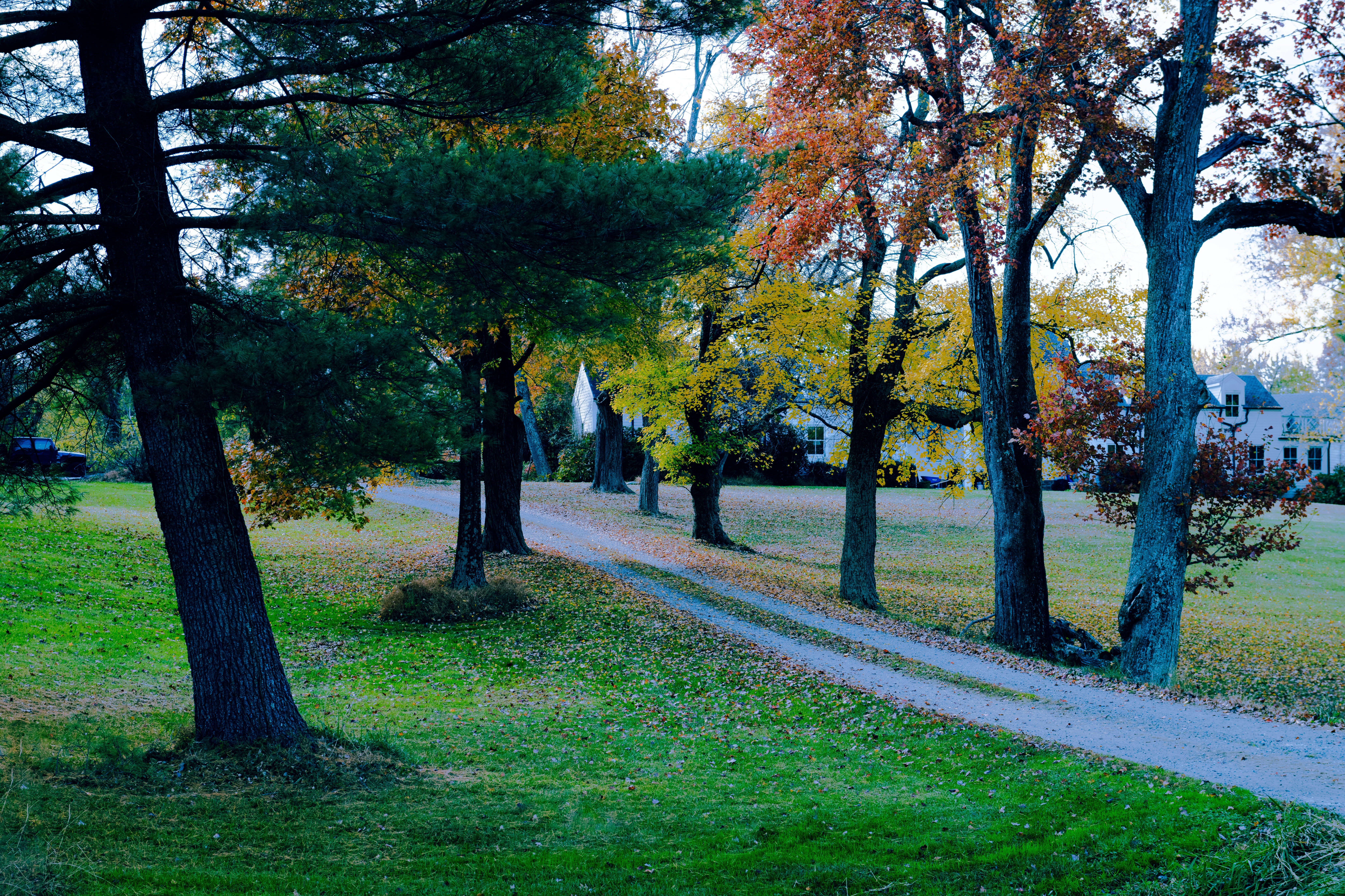 Photo by sriniunsplash