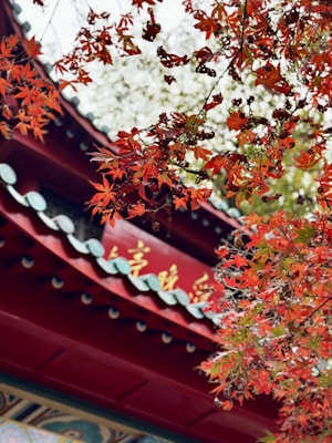 A traditional Asian architectural structure is partially visible under a canopy of vibrant red autumn leaves. The building has a curved roof with ornamental details and Chinese text in gold. The background features a lightly blurred view of additional foliage.