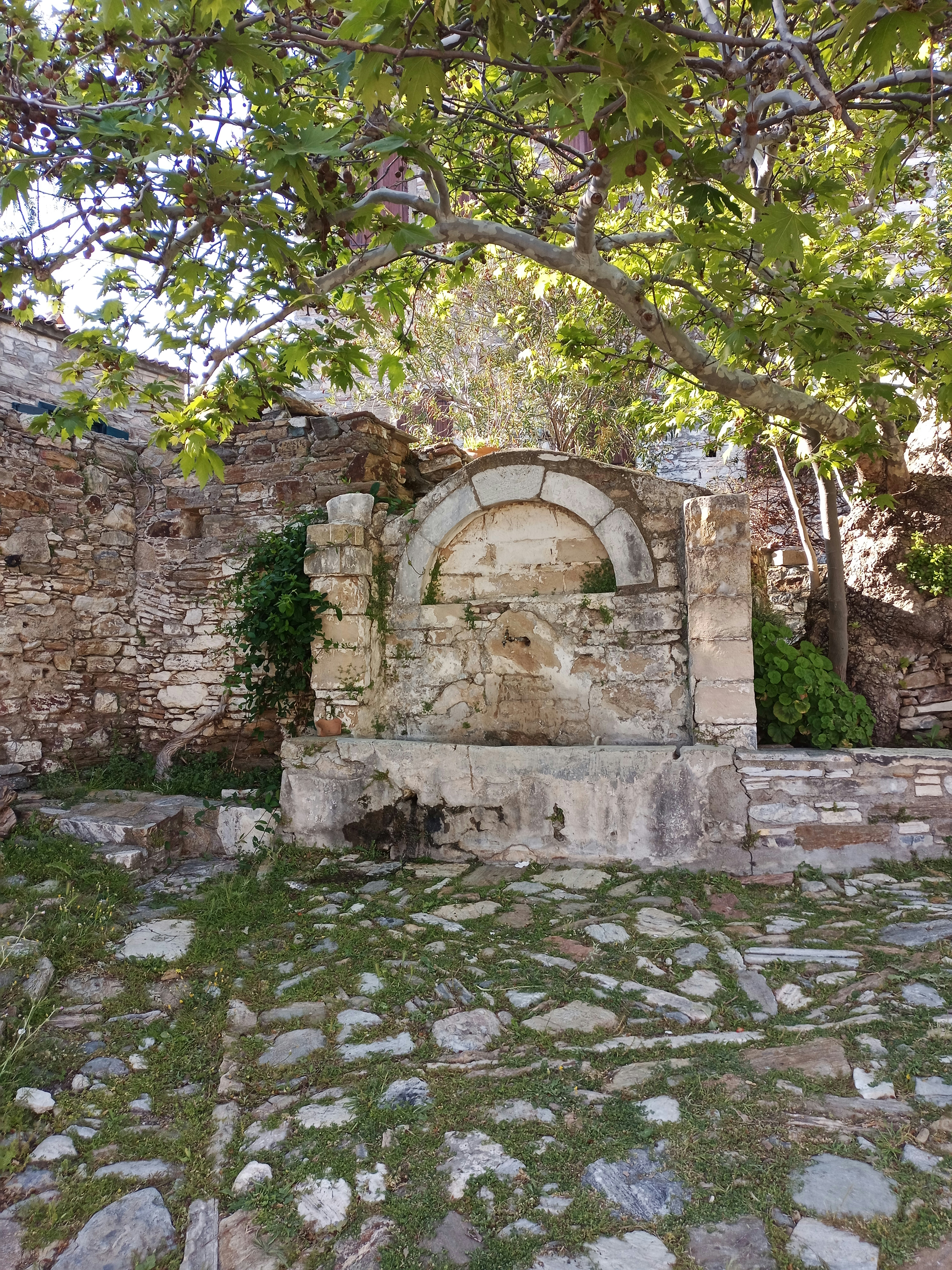 Photo by selendogasipal