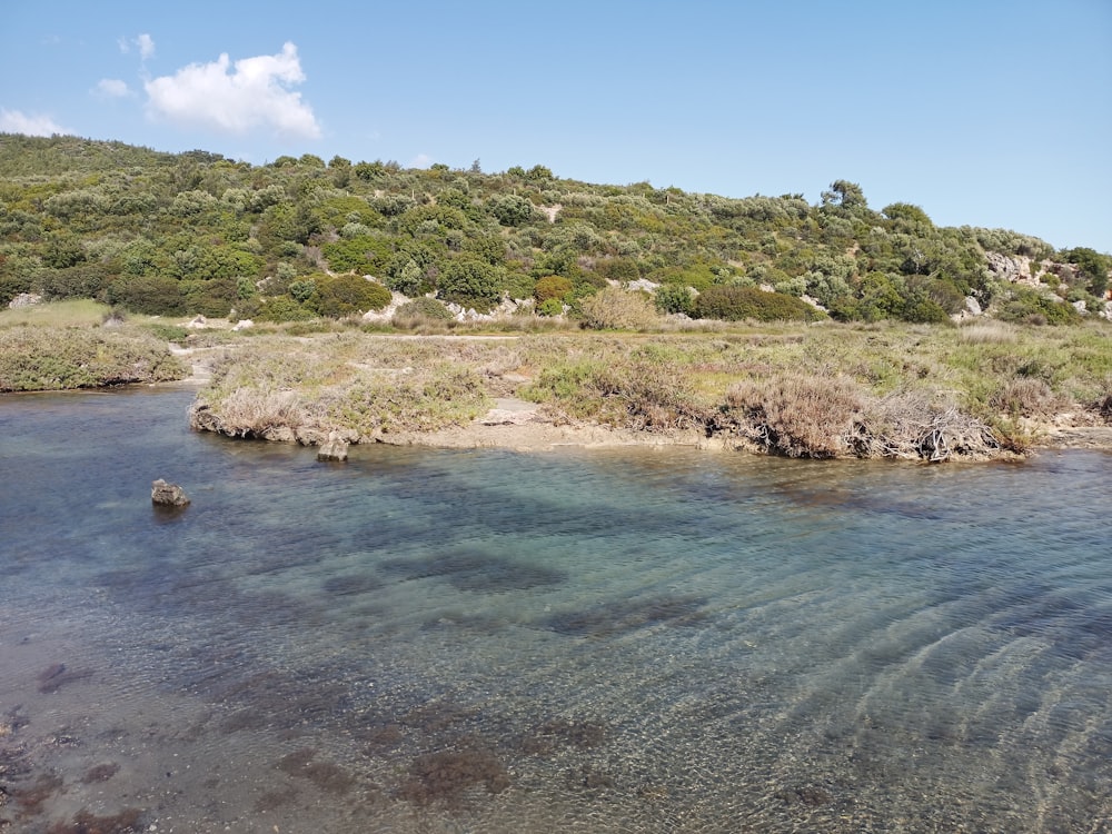 a body of water surrounded by a lush green hillside