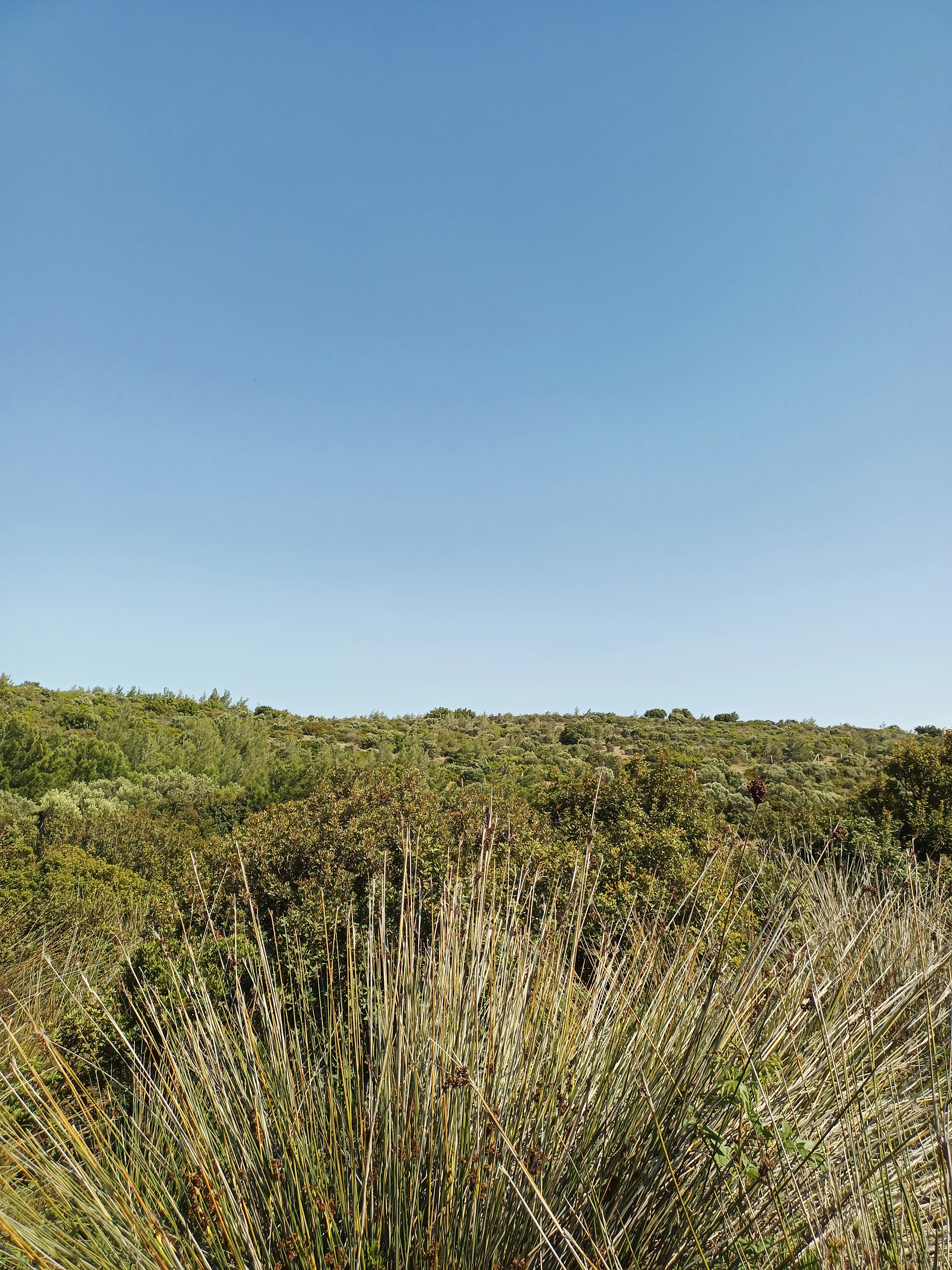 Photo by selendogasipal