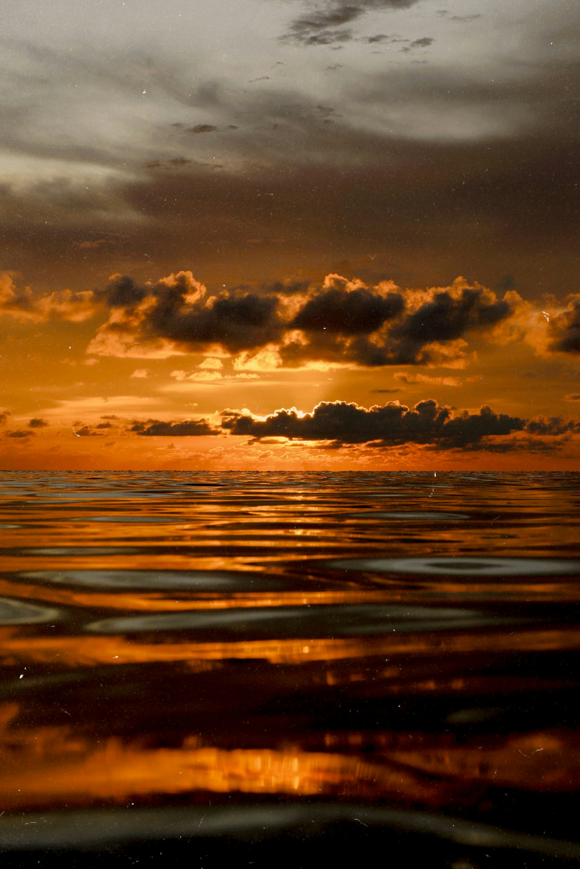 Photo by bellecoleen