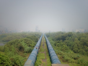A large blue pipeline stretches into the distance, cutting through dense green foliage. The sky is overcast with a light haze, and a few buildings are faintly visible in the hazy background.