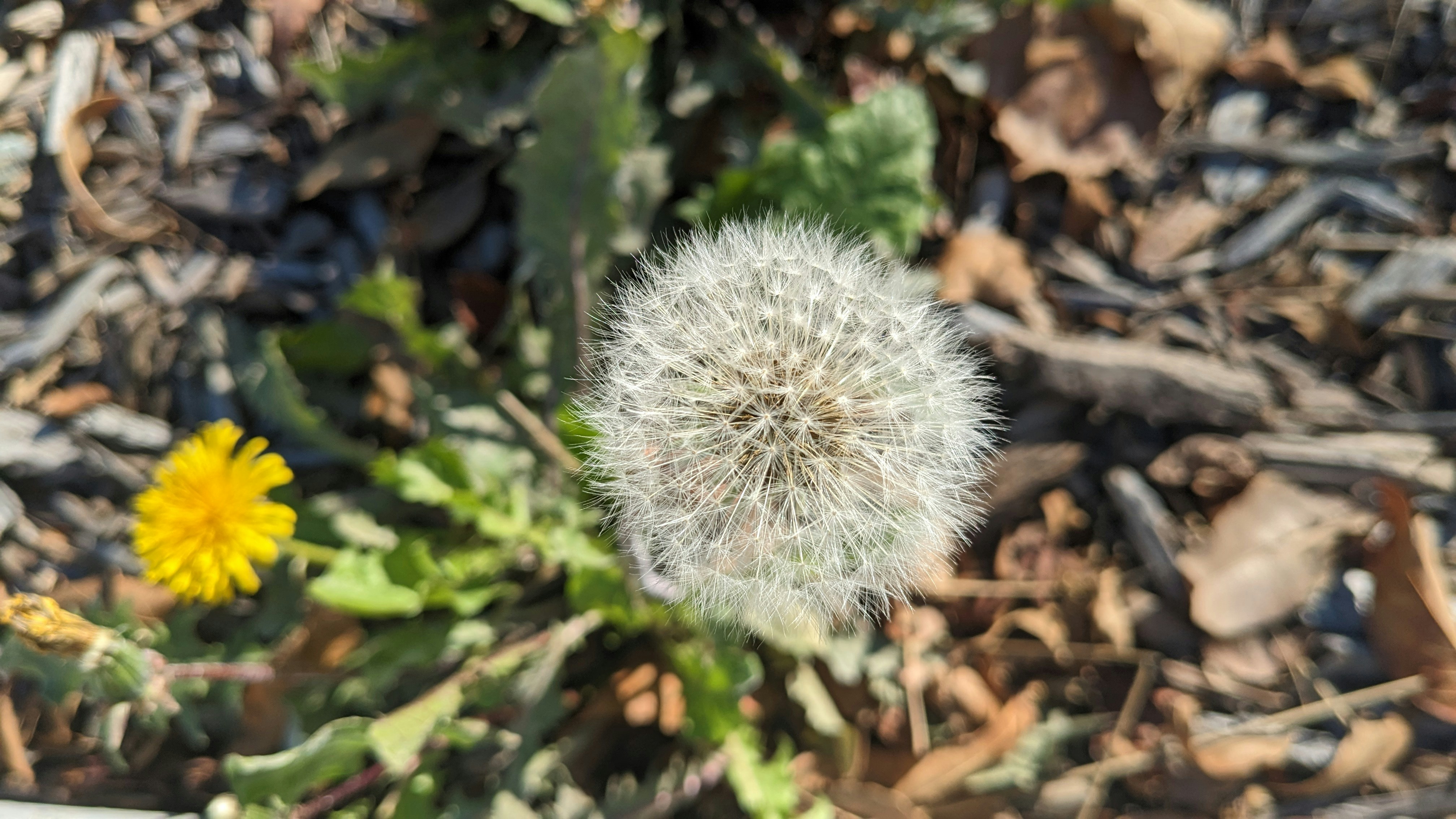 Go to Market - GTM and product launch orchestra 