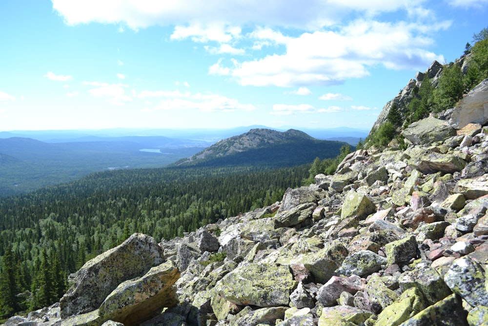 a rocky mountain with a view of a forest