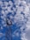 A tall metal telecommunications tower rises against a backdrop of a bright blue sky filled with scattered fluffy white clouds. The structure features antennas and equipment mounted at the top.