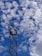 A tall metal telecommunications tower rises against a backdrop of a bright blue sky filled with scattered fluffy white clouds. The structure features antennas and equipment mounted at the top.