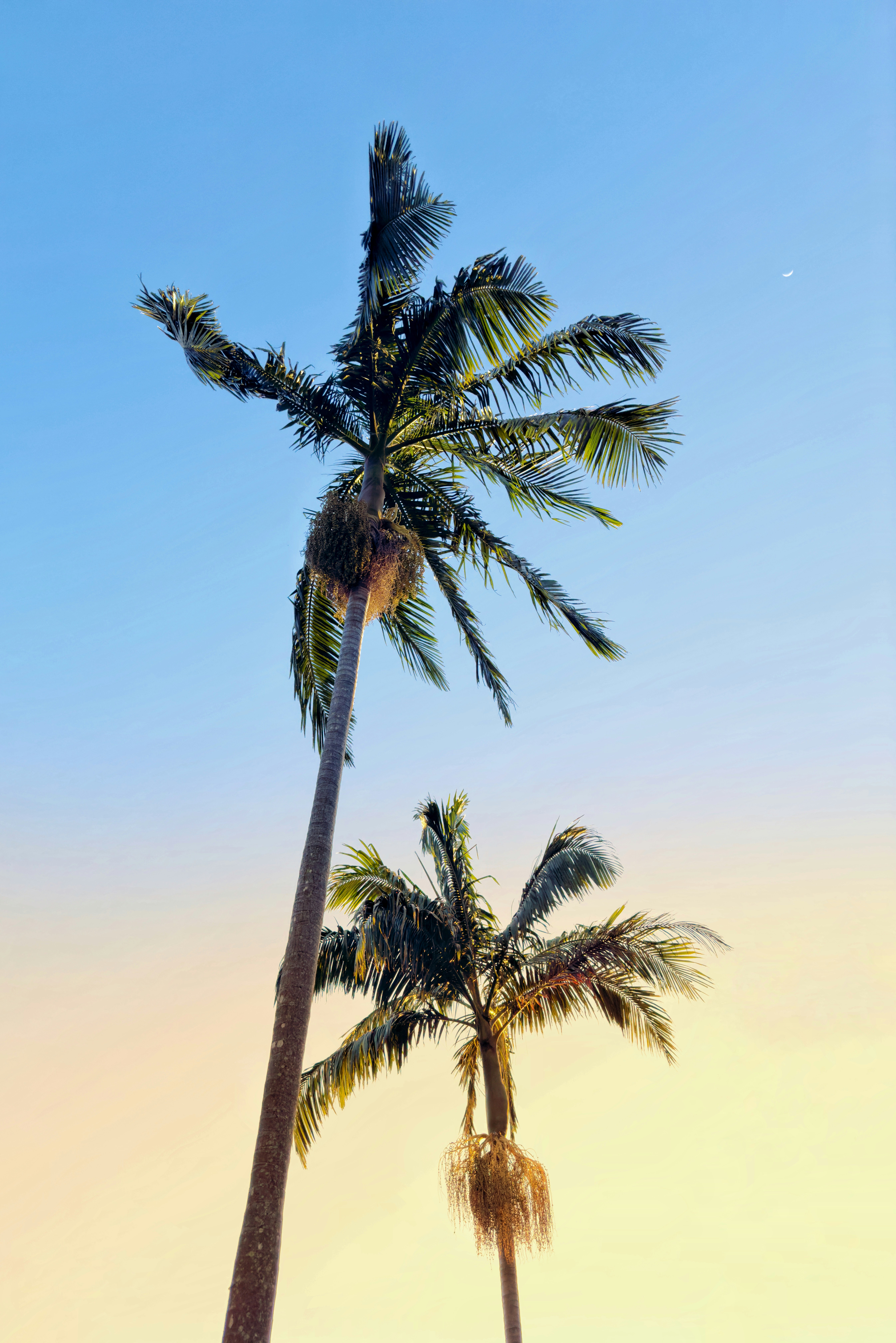 Photo by thelightnight