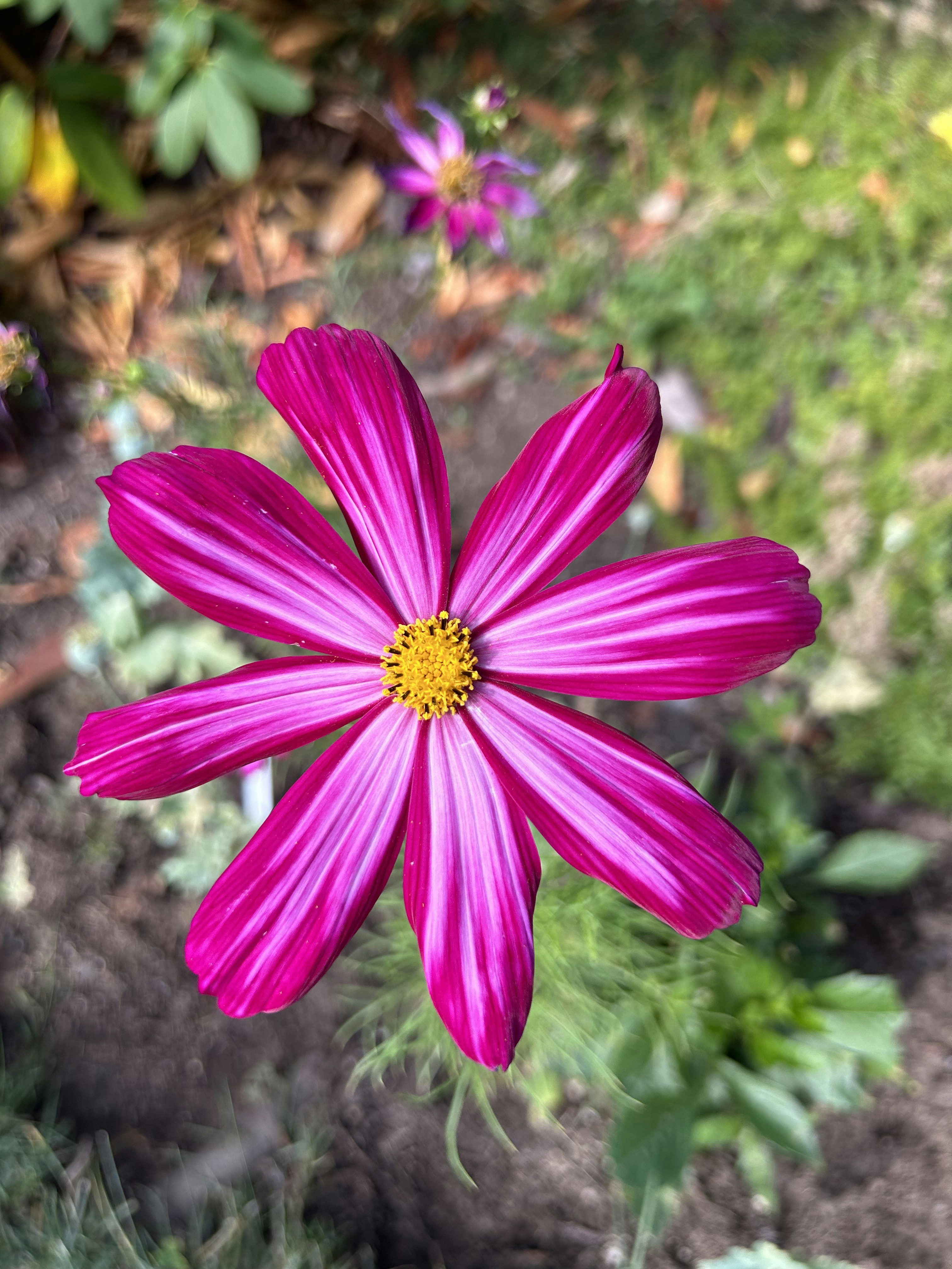 Photo by lieslarceneaux