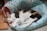 A calico cat is comfortably sleeping in a cushioned blue bed, which is adorned with colorful owl patterns. The bed is placed on a wooden surface with a small pink interior lining visible on the bed's side.